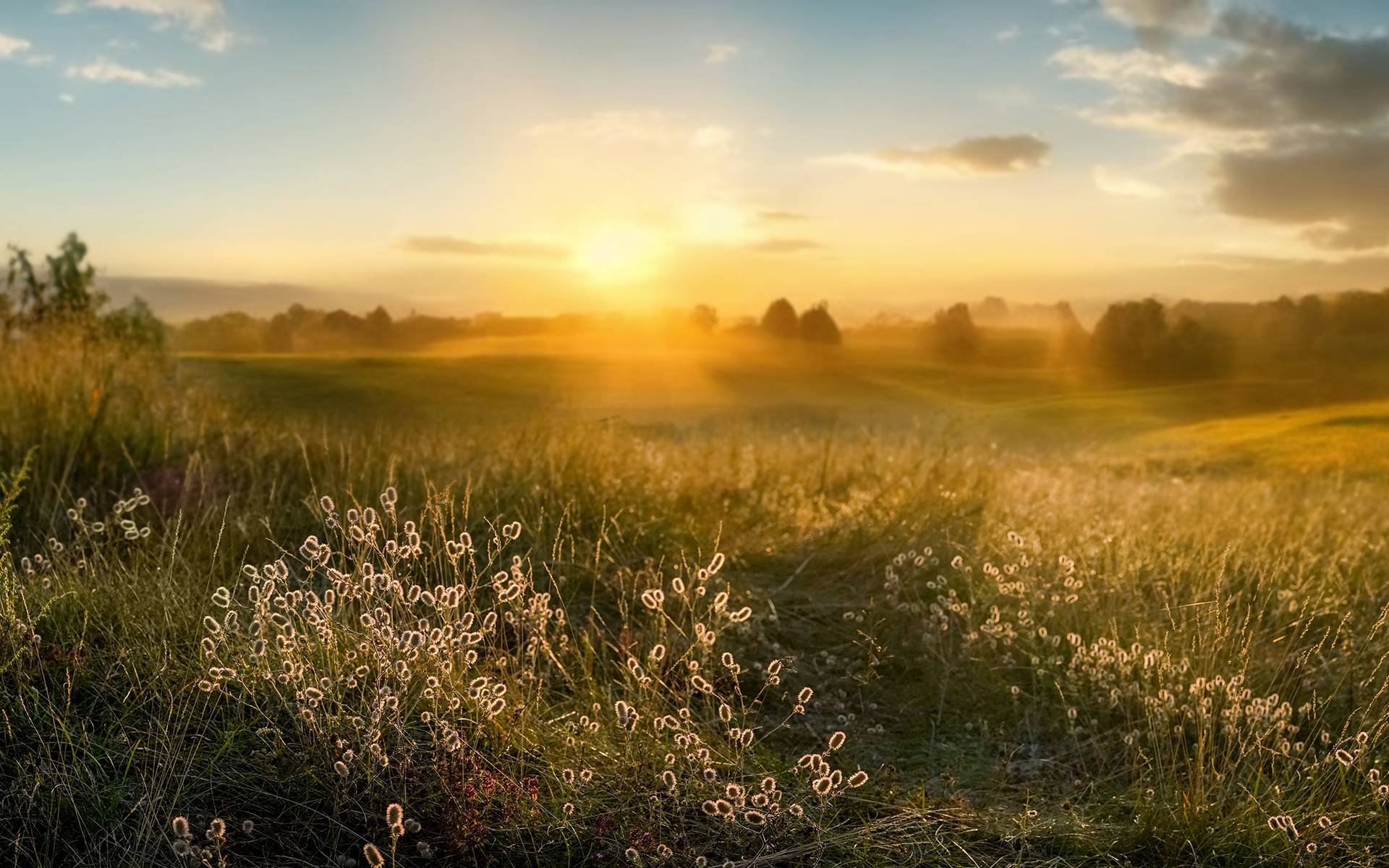 Organisation complète d’obsèques dans Le Vaucluse 84