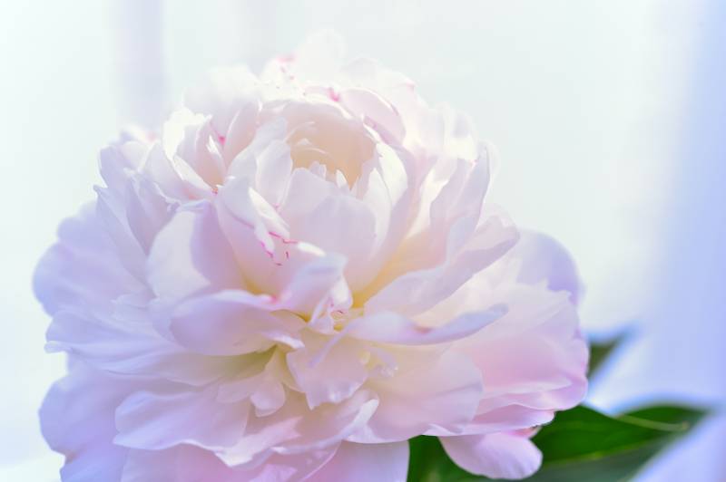 Prise en charge et organisation des obsèques avec Bastidon Funéraire